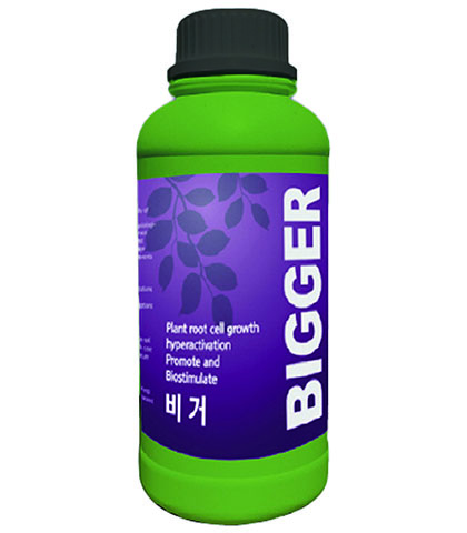 비거(1L)